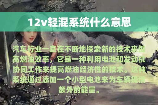 12v轻混系统什么意思