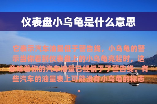 仪表盘小乌龟是什么意思