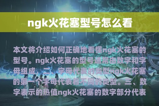 ngk火花塞型号怎么看