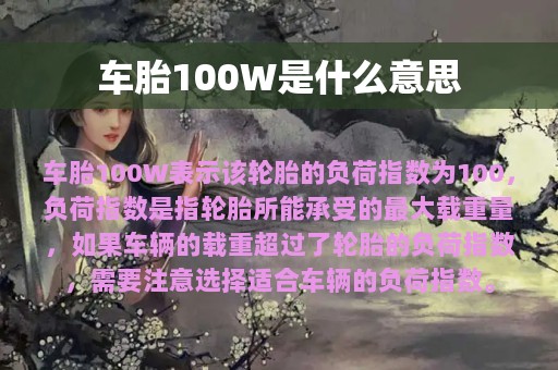 车胎100W是什么意思