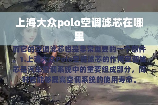 上海大众polo空调滤芯在哪里