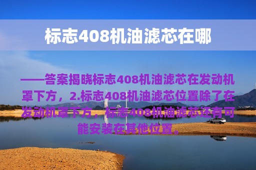 标志408机油滤芯在哪