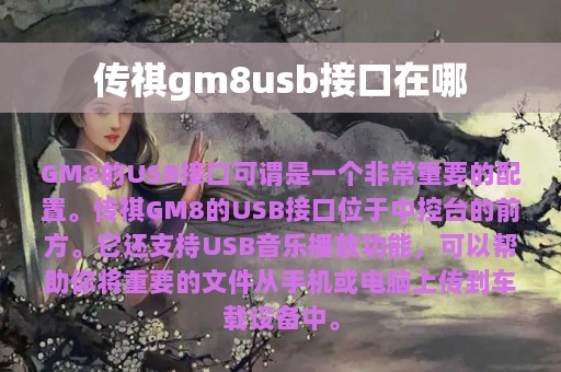 传祺gm8usb接口在哪