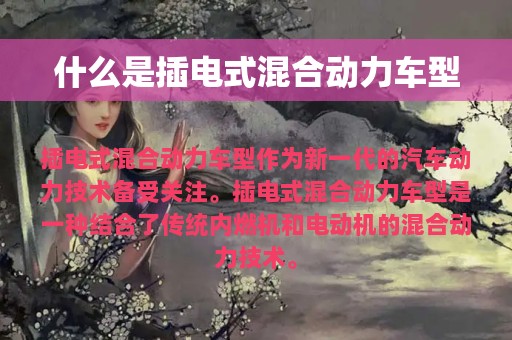 什么是插电式混合动力车型