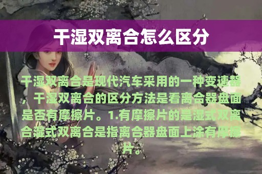 干湿双离合怎么区分