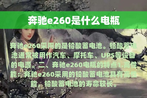 奔驰e260是什么电瓶