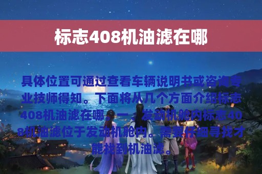 标志408机油滤在哪