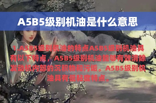 A5B5级别机油是什么意思