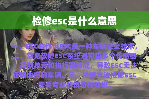 检修esc是什么意思