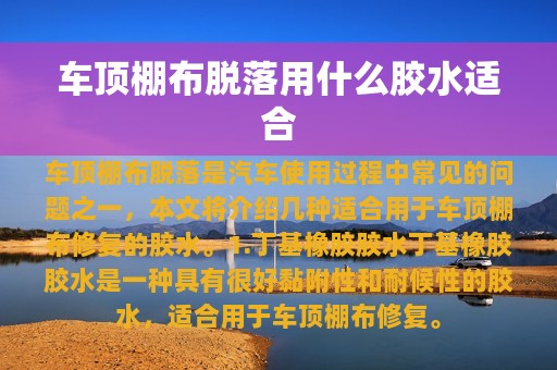 车顶棚布脱落用什么胶水适合