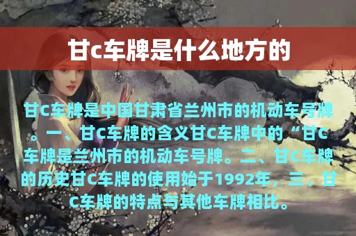 甘c车牌是什么地方的