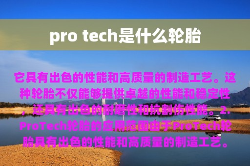 pro tech是什么轮胎