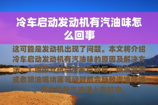 冷车启动发动机有汽油味怎么回事