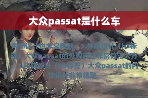 大众passat是什么车