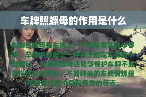 车牌照螺母的作用是什么