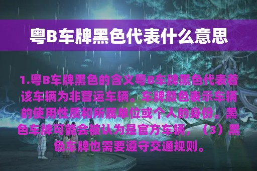 粤B车牌黑色代表什么意思