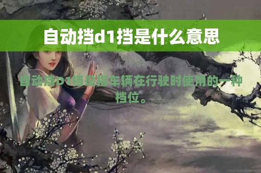 自动挡d1挡是什么意思