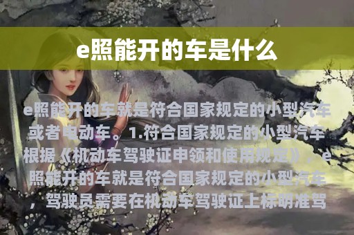 e照能开的车是什么