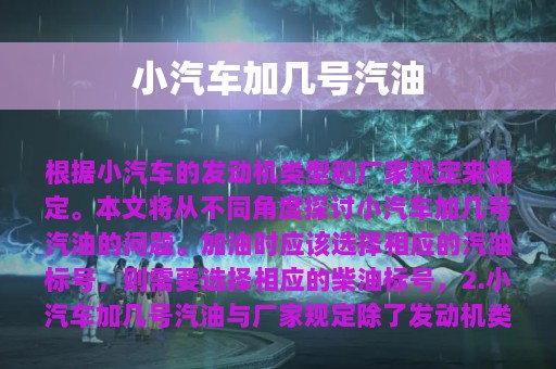 小汽车加几号汽油