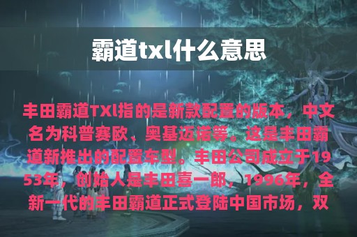 霸道txl什么意思