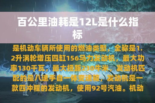 百公里油耗是12L是什么指标