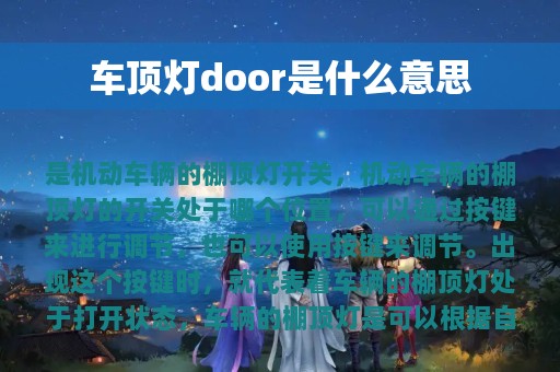 车顶灯door是什么意思