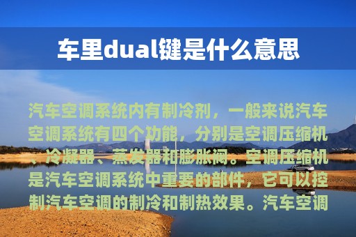 车里dual键是什么意思