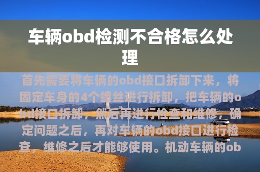 车辆obd检测不合格怎么处理