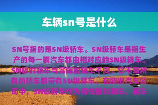 车辆sn号是什么