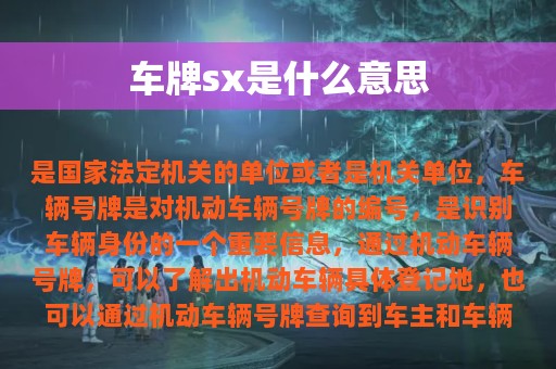 车牌sx是什么意思