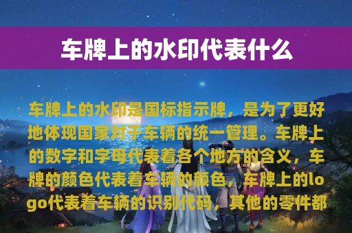 车牌上的水印代表什么