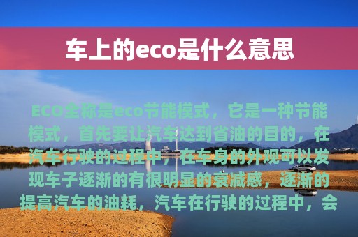 车上的eco是什么意思