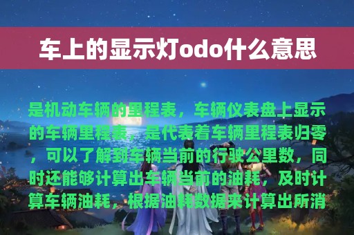 车上的显示灯odo什么意思