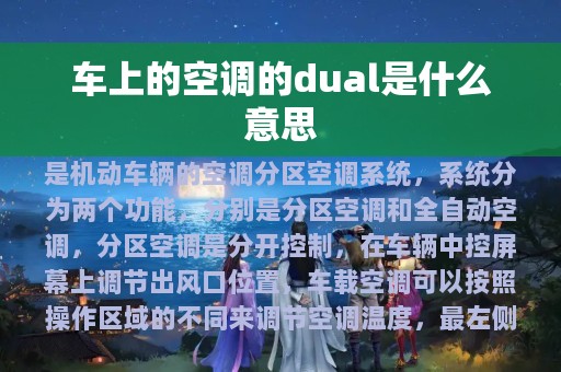 车上的空调的dual是什么意思