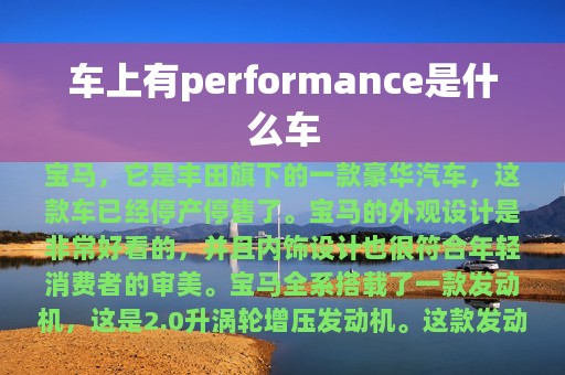 车上有performance是什么车