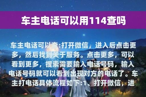 车主电话可以用114查吗