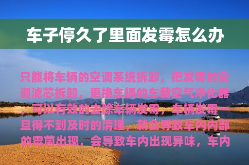 车子停久了里面发霉怎么办