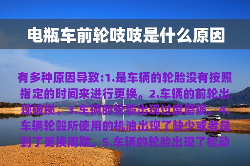 电瓶车前轮吱吱是什么原因