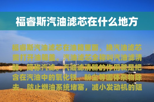 福睿斯汽油滤芯在什么地方