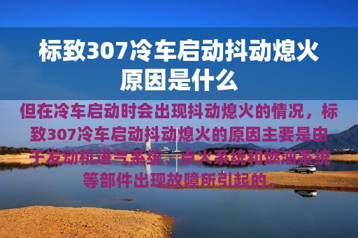 标致307冷车启动抖动熄火原因是什么