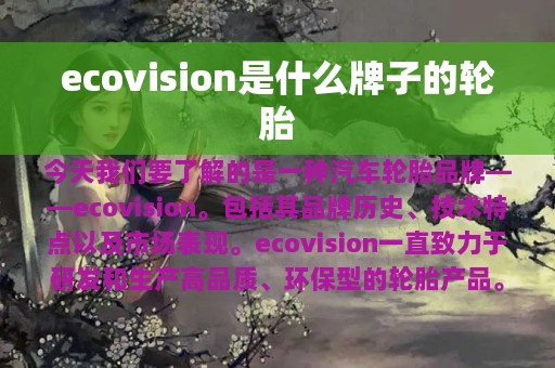 ecovision是什么牌子的轮胎