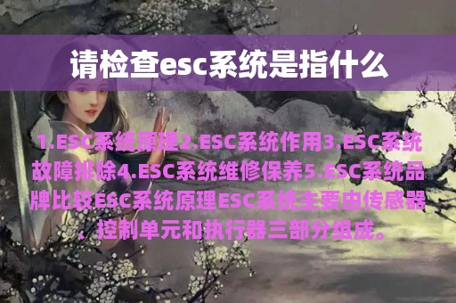 请检查esc系统是指什么