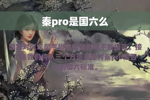 秦pro是国六么