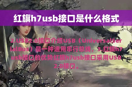 红旗h7usb接口是什么格式