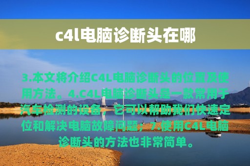 c4l电脑诊断头在哪