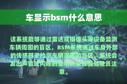 车显示bsm什么意思