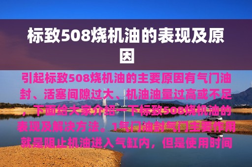 标致508烧机油的表现及原因