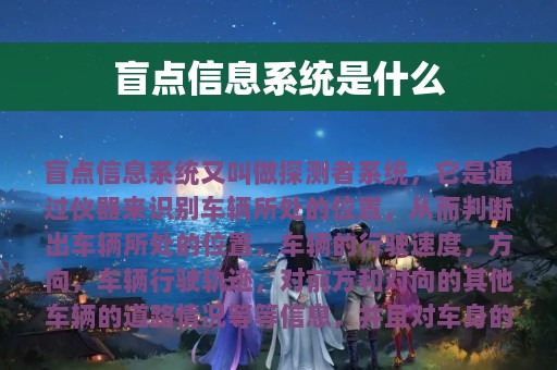 盲点信息系统是什么