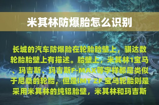 米其林防爆胎怎么识别