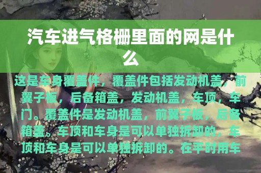 汽车进气格栅里面的网是什么